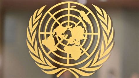 UN suspends ties after CAR charity head identified as Belgian.